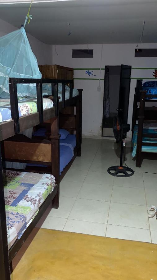 Palomino Hostel Kültér fotó