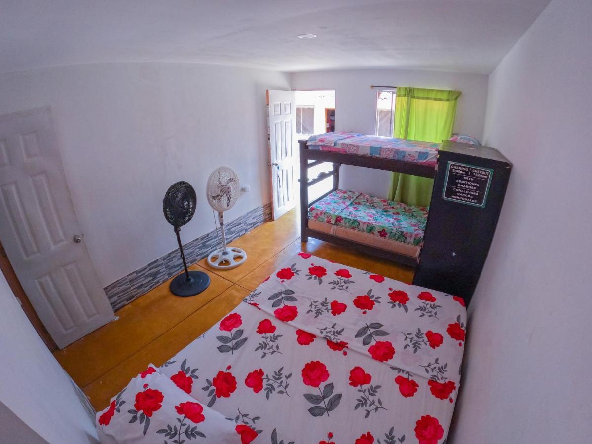 Palomino Hostel Kültér fotó