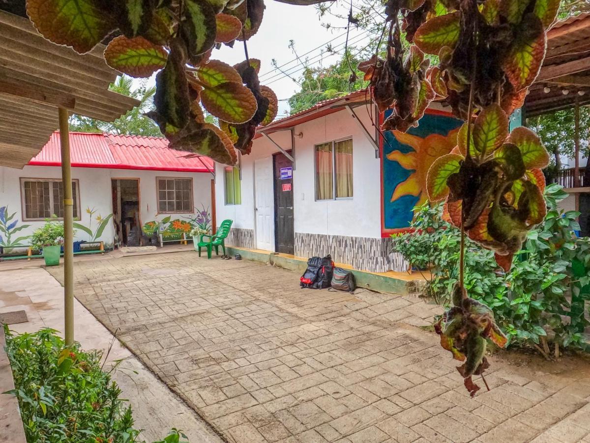 Palomino Hostel Kültér fotó